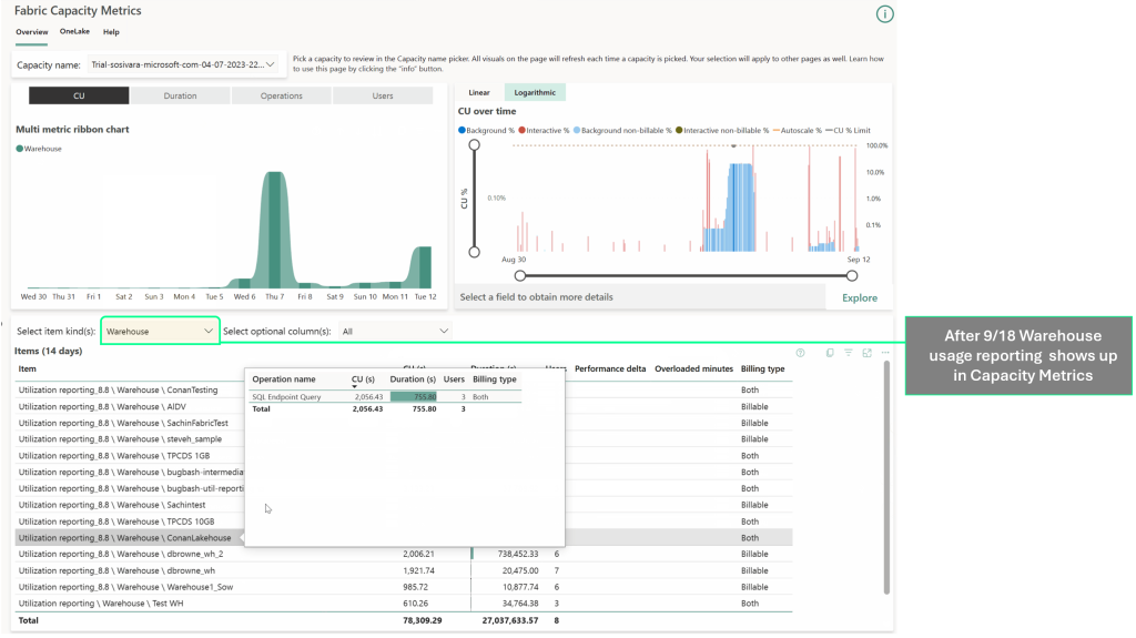 Fabric Capacity Metrics